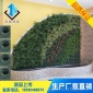 墙体绿化自动循环浇灌塑料原料水培垂直绿化植物墙花盆厂家